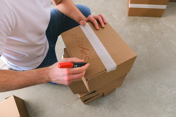 Top solutions pour éliminer les rats : produits pratiques et efficaces