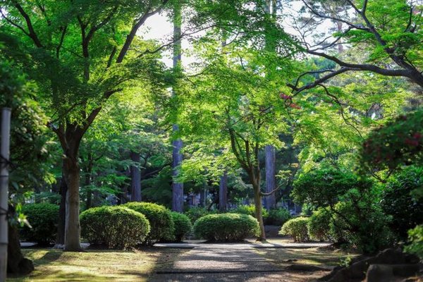 Créer un jardin paysager: 4 conseils pour le réaliser