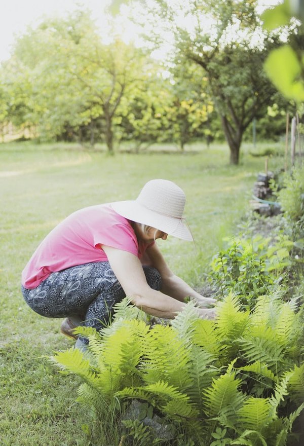 Les conseils pour bien entretenir son espace vert