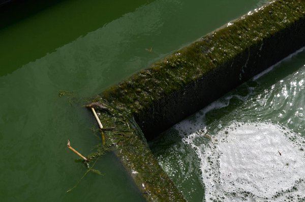 Traitement des eaux usées, un bénéfice pour l’environnement