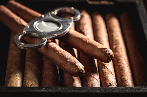 Démarrage d’une cave à cigare : par où commencer ?