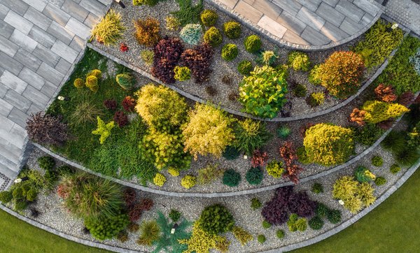 Création d'un jardin de rocaille : choix des plantes et des pierres