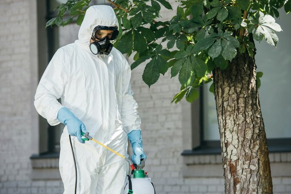 Les secrets d'un expert anti nuisible dans le Vaucluse